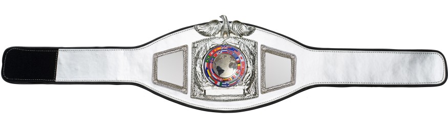 PROEAGLE SILVER WORLD FLAGS CHAMPIONSHIP BELT - PROEAGLE/S/FLAGS - AVAILABLE IN 6+ COLOURS